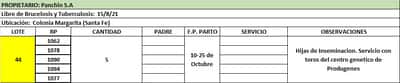 Lote Lote 44 Panchin Sa