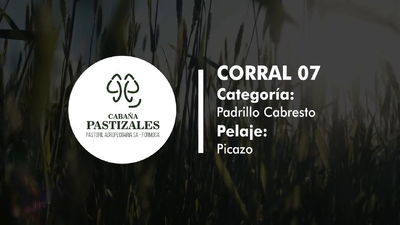 Lote PADRILLO