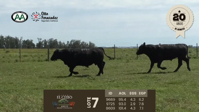 Lote 3 Toros, Artigas