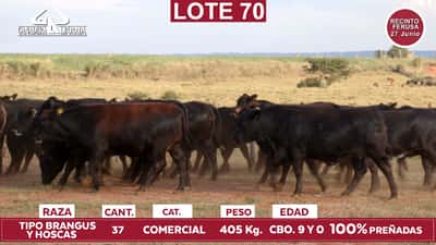 Lote Reproductores de Alborada - Lote 70