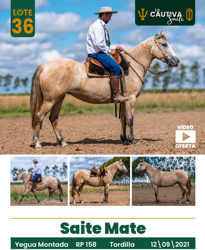 Lote LOTE 36