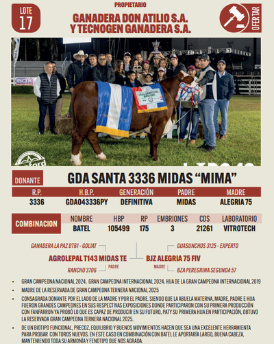 Lote LOTE 17