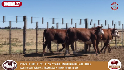 Lote CORRAL 27