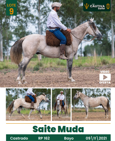 Lote LOTE 9