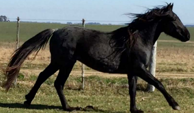 Lote CEIBO LA INVERNADA