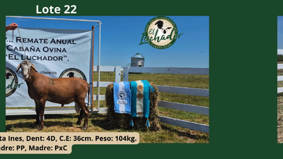 Lote PxC