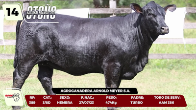 Lote LOTE 14