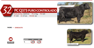 Lote MACHO PC