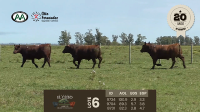 Lote 3 Toros, Artigas