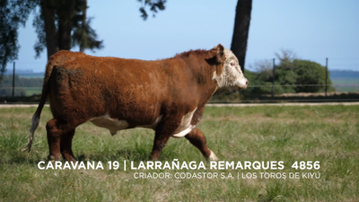 Lote LARRAÑAGA REMARQUES -4856