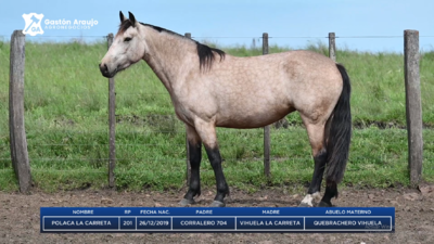 Lote POLACA LA CARRETA