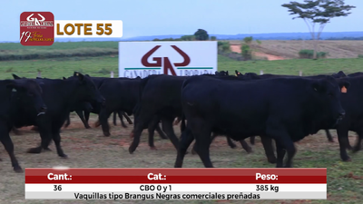 Lote Reproductores de Alborada - Lote 55
