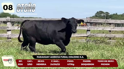 Lote LOTE 8