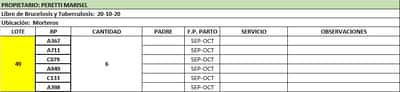 Lote Vaquillonas preñadas
