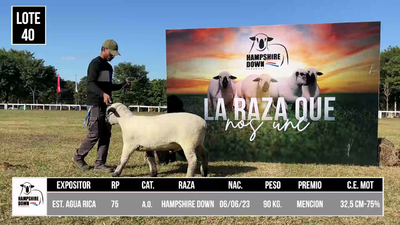 Lote LOTE 40 - BOZAL