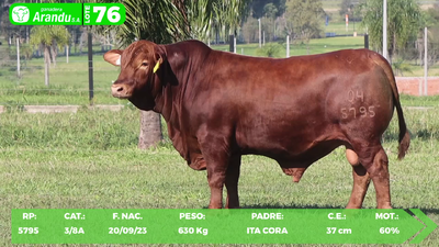 Lote LOTE 76