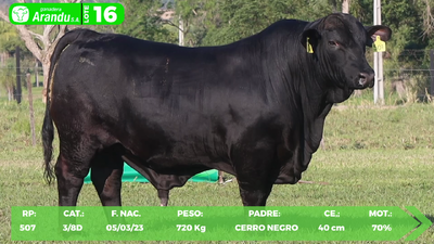 Lote LOTE 16