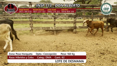 Lote Insp 113