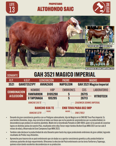 Lote LOTE 13