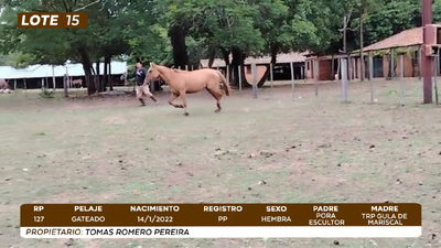 Lote LOTE 15- CAMPO