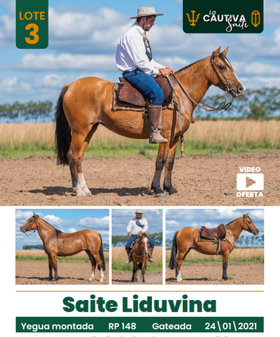 Lote LOTE 3
