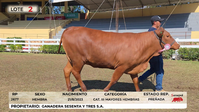 Lote LOTE 2
