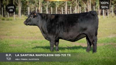 Lote LA SANTINA NAPOLEON-105-721 TE
