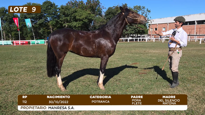 Lote LOTE 9