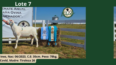 Lote PP