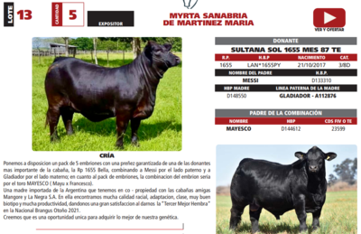 Lote LOTE 13