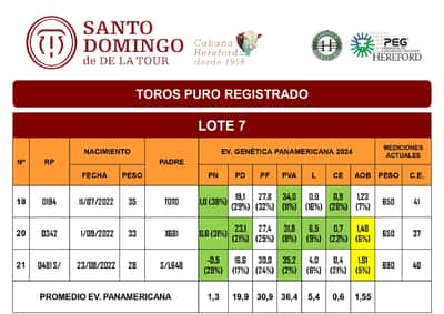 Lote TOROS PR (LOTES) - ( Incluye S/ )