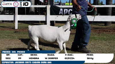 Lote LOTE 10