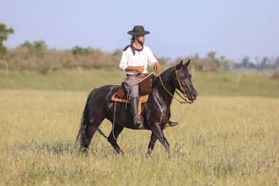 Lote DEL SILENCIO FILOSA