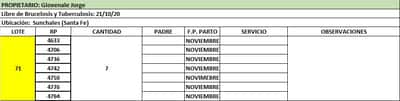 Lote Lote 71 Giovenale Jorge