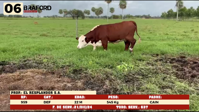 Lote LOTE 6