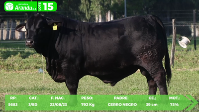 Lote LOTE 15