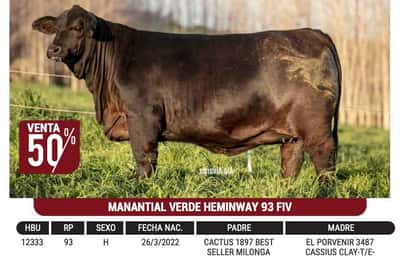 Lote "CABAÑA MANANTIAL VERDE" - MANANTIAL VERDE HEMINWAY 93 FIV