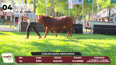 Lote LOTE 4