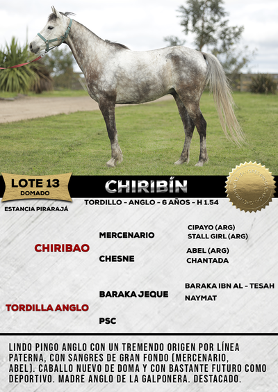 Lote CHIRIBÍN