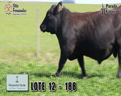 Lote LOTE 12