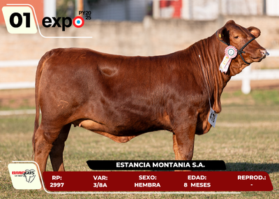 Lote LOTE 1