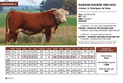 Lote GARZON EXCEDE 1061-1423  (GRUPO 1)