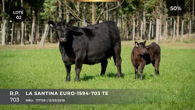 Lote LA SANTINA EURO-1594-703 TE