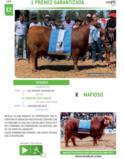 Lote LOTE 12