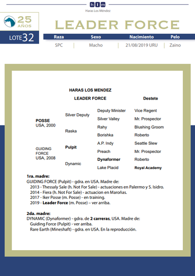 Lote LEADER FORCE