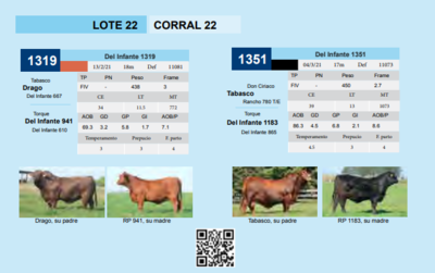 Lote CORRAL 22
