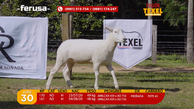 Lote Lote 30
