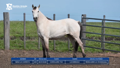 Lote NENA LA CARRETA