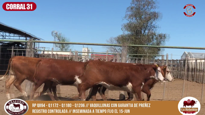 Lote CORRAL 31