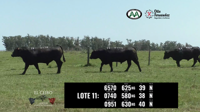 Lote 3 Toros, Artigas